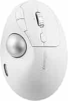 Amazon.co.jp: 【Amazon.co.jp限定】Kensington ケンジントン